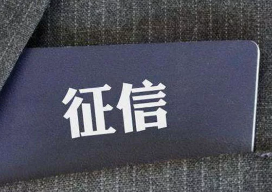 樸道征信：累計線上調(diào)用逾45億次，日調(diào)用峰值達3500萬次